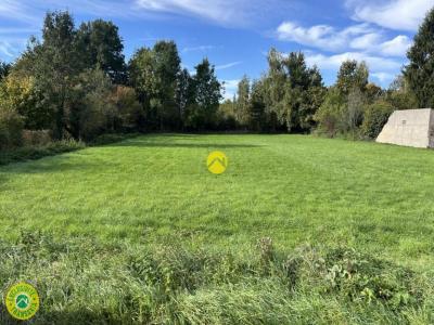 Annonce Vente Terrain Vernoy 89