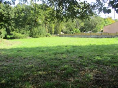 Acheter Terrain 2348 m2 Grosbreuil