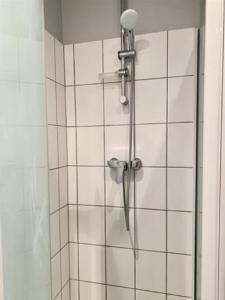 Acheter Appartement Grenoble Isere