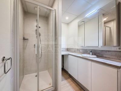 Louer Appartement Lyon-7eme-arrondissement 1353 euros