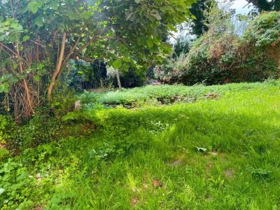 Acheter Maison 193 m2 Guilers