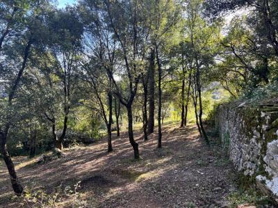Acheter Terrain 36 m2 