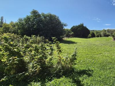 Acheter Terrain 