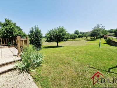 Annonce Vente Gite Aigremont 52