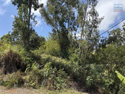 Annonce Vente Terrain Trois-bassins 974