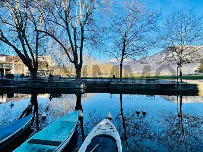 Annonce Vente Local commercial Annecy 74