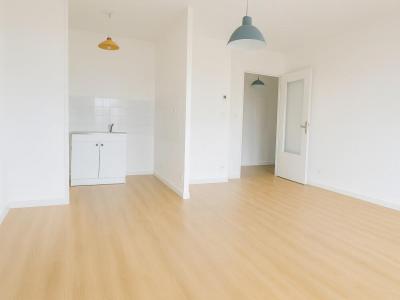 Acheter Appartement 49 m2 Lyon-8eme-arrondissement