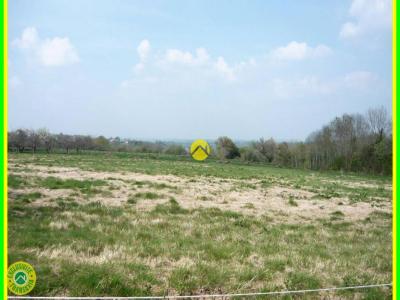 Acheter Terrain 9808 m2 Dun-le-palestel