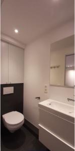 Acheter Appartement Grenoble Isere