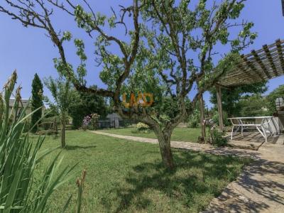 Acheter Maison 140 m2 Requista