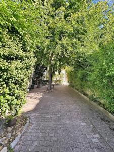 For sale Avignon 9 rooms 270 m2 Vaucluse (84000) photo 2