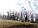 For sale Land Veyre-monton 