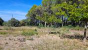 For sale Land Vendemian  3360 m2