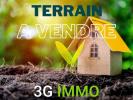 For sale Land Chabournay SAINT-MARTIN-LA-PALLU