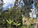 For sale Land Trois-bassins