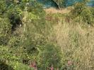 For sale Land Saline-des-bains