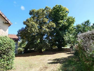 For sale Sainte-eulalie-d'ans 7 rooms 160 m2 Dordogne (24640) photo 4