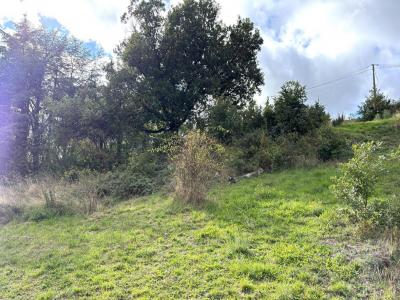 Annonce Vente Terrain Bourg-argental 42