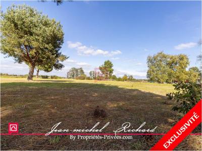 For sale Billy 5550 m2 Loir et cher (41130) photo 0