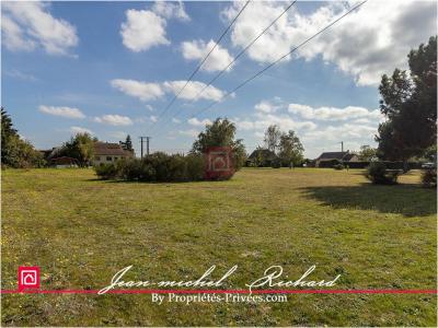 Annonce Vente Terrain Billy 41