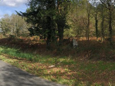 For sale Herm 8438 m2 Landes (40990) photo 0
