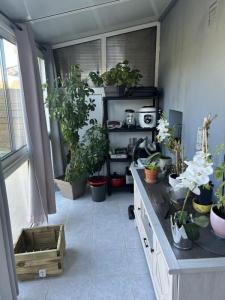 Acheter Maison Lisieux 135000 euros