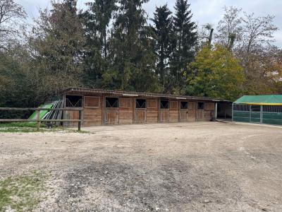For sale Saint-germain-sur-morin 20 rooms 250 m2 Seine et marne (77860) photo 2