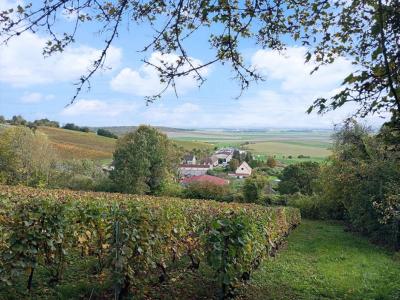 Acheter Maison 263 m2 Allemant