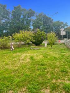 Annonce Vente 3 pices Maison Chezal-benoit 18