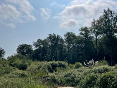 For sale Carignan-de-bordeaux 780 m2 Gironde (33360) photo 1