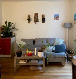 Annonce Location 2 pices Appartement Nancy 54