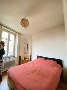 Louer Appartement 32 m2 Nancy