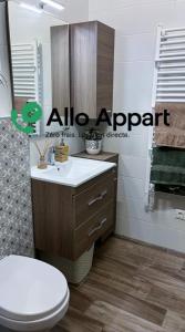 Louer Appartement 34 m2 Lyon-7eme-arrondissement