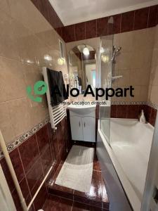 Louer Appartement Lyon-3eme-arrondissement 730 euros