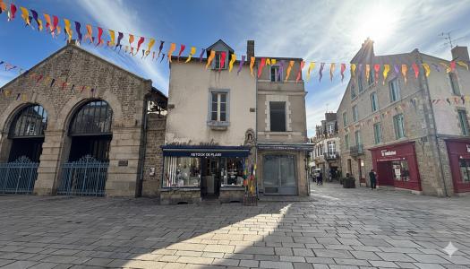 Annonce Vente Immeuble Guerande 44