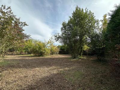 For sale Leves 655 m2 Eure et loir (28300) photo 0