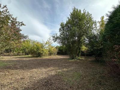 Annonce Vente Terrain Leves 28