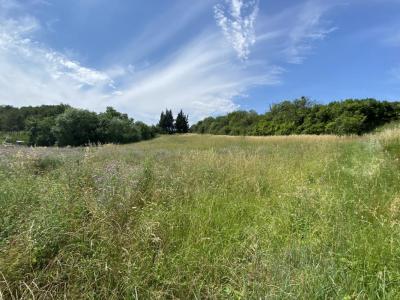 Annonce Vente Terrain Lauraguel 11