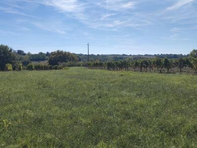 Annonce Vente Terrain Capian 33