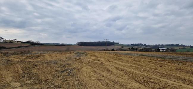 Acheter Terrain 1408 m2 Leboulin