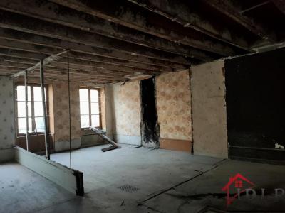 For sale Bourbonne-les-bains 510 m2 Haute marne (52400) photo 1