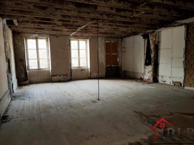 For sale Bourbonne-les-bains 510 m2 Haute marne (52400) photo 2