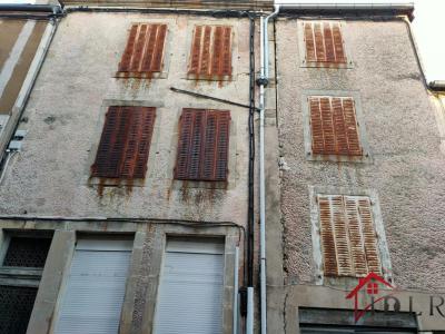 For sale Bourbonne-les-bains 510 m2 Haute marne (52400) photo 3