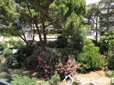 Louer Appartement 20 m2 Marseille-8eme-arrondissement