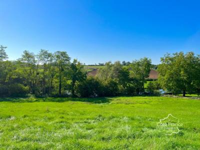 Annonce Vente Terrain Guillon 89