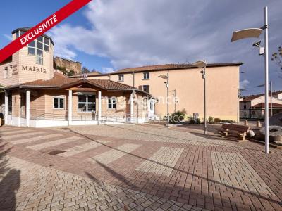 Annonce Vente Appartement Sain-bel 69