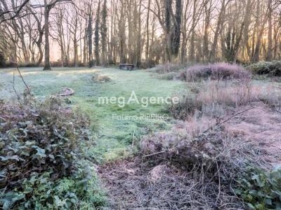 Acheter Terrain 1000 m2 Jouy-le-chatel