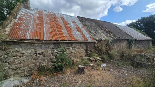 Acheter Maison 220 m2 Malguenac