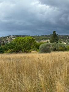 Acheter Terrain 270 m2 Caumont-sur-durance