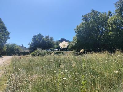 Annonce Vente Terrain Entrechaux 84